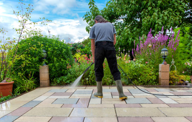 Best Animal Enclosure Cleaning  in Jones Valley, CA